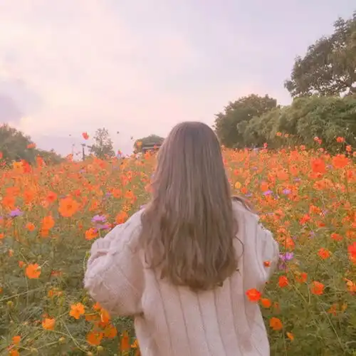 今日份头像愿你白天有说有笑晚上睡个好觉