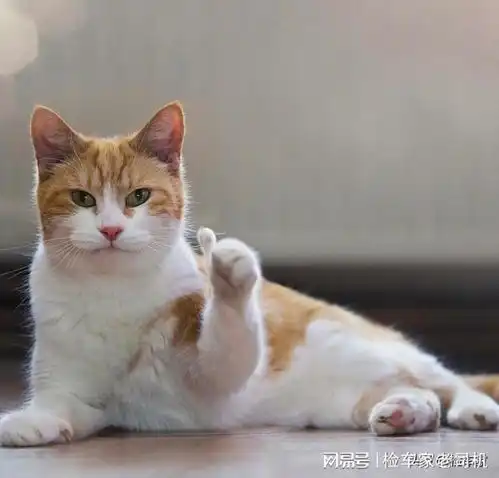 中国越野顶梁柱,气场不输普拉多,9万公里的哈弗h9真这么好