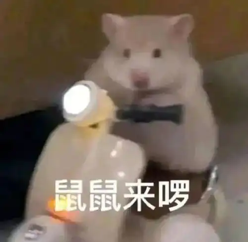 实验室这群戏精的反差感太强了,科研人回复谁还不是个双面人