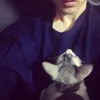 追蝶人