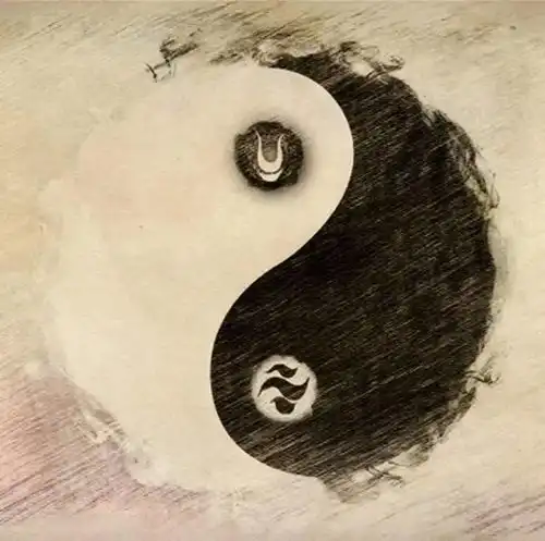 从中国武术看中国传统文化二