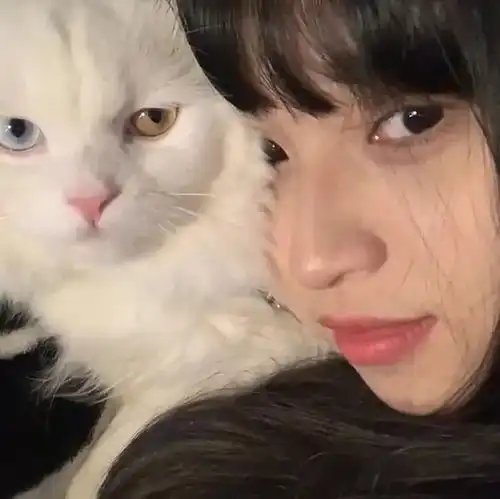 小众女头保持一点暖光