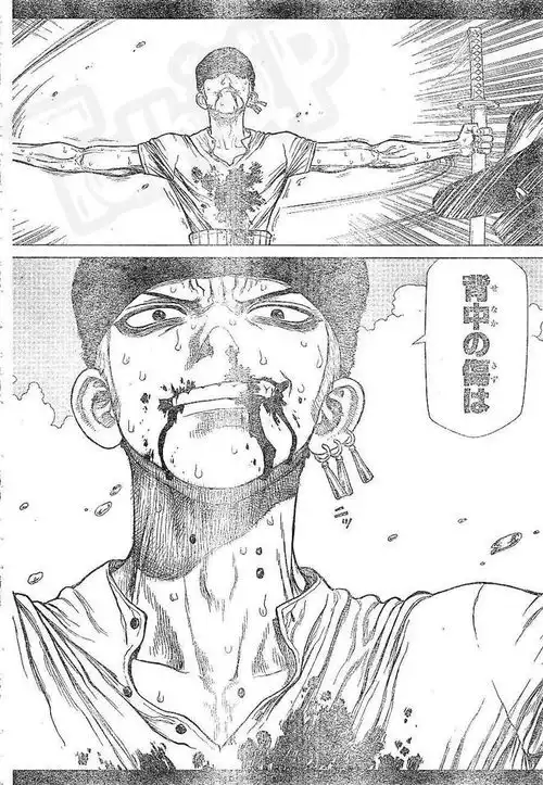 鸟山明赫然在列除了尾田这些漫画家也曾创作过海贼王系列作品