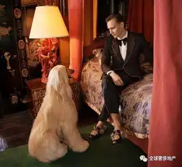 alessandro把罗马浪漫x家居这就是gucci的另一种穿搭啊