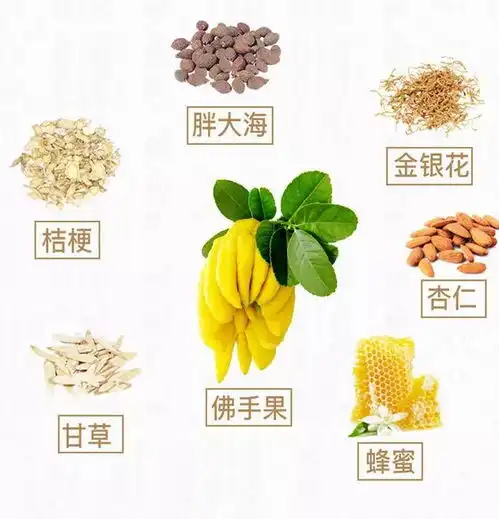 小主请收下这盘佛系水果,也是朕的心意