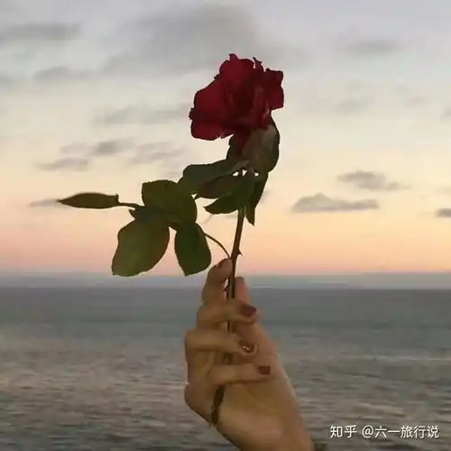 头像黑色系玫瑰痴迷