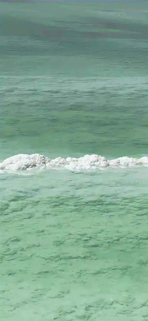 壁纸绿色系夏天壁纸ins风