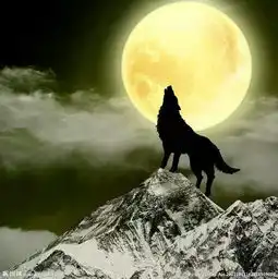 求几张图片就要类似这种风格的越多越好谢谢