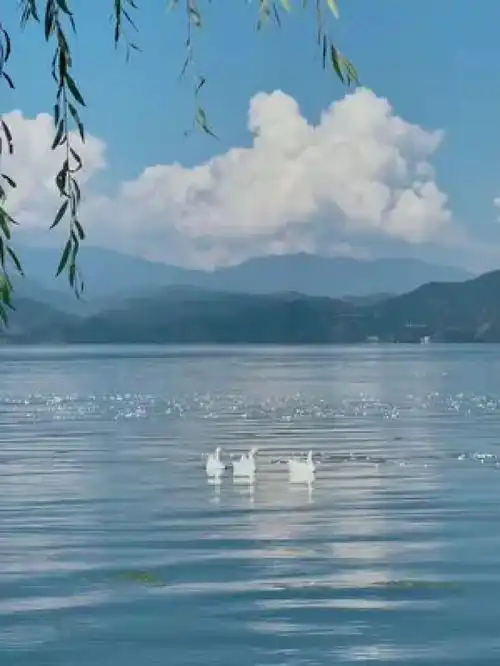 治愈系头像风景唯美泸沽