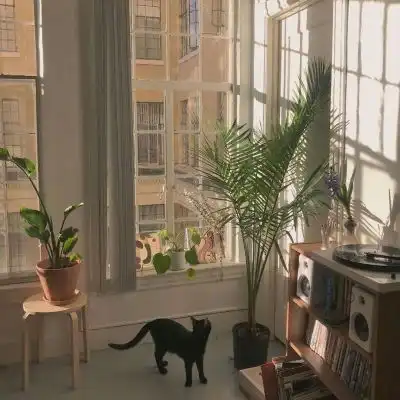 江淮唯美家居背景图桃子我木桃,风景静物头像我要个性网