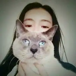 猫系女孩啥意思头像图片