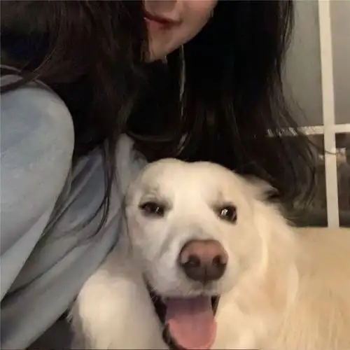 开场舞曲凌绮丽高音质在线试听开场舞曲歌词歌曲下载酷狗音乐