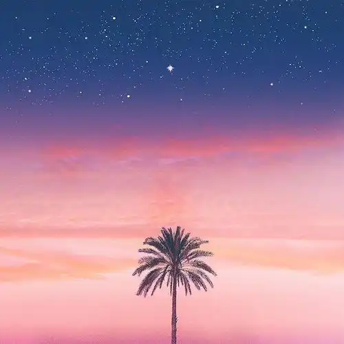 治愈系早安文案,颜值超高,句句说的漂亮