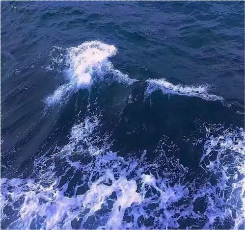 那些值得你细品的文案.