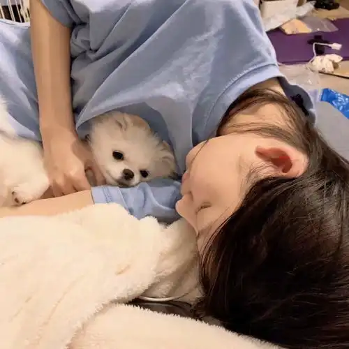 新的一年生活一定会更加美好文案