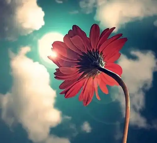 每天,给自己一个开心的理由