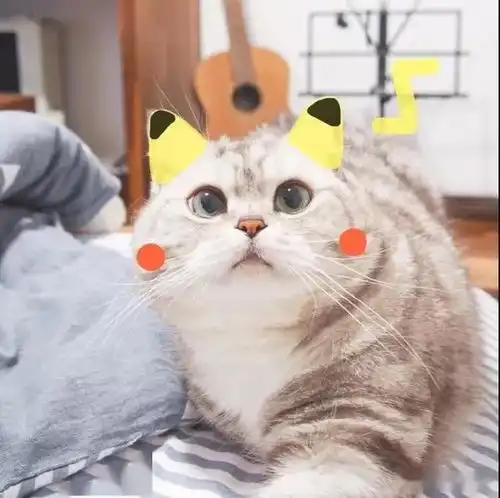 过来男人告诉你用这5种头像的女生最好追,建议男生收藏