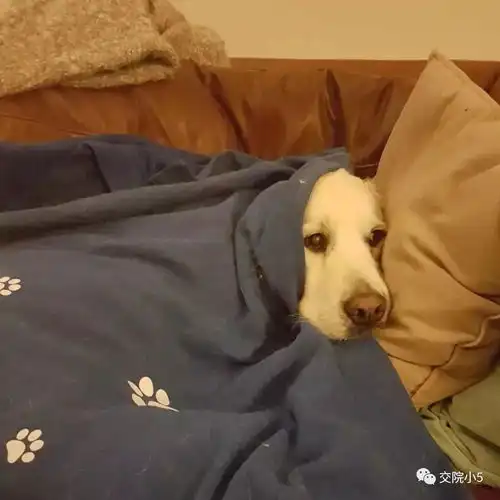 四六级裸考太冷,下一次请注意保暖