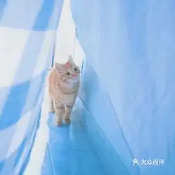 电话,地址,价格,营业时间