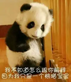 大熊猫奇一火到国外不爱竹子爱抱大腿...