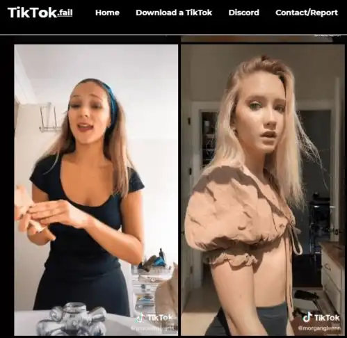 老外采集的19万tiktok镜像站