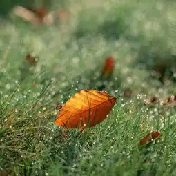 创意设计创意苹果手机高清壁纸2048x2048爱思助手