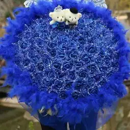 无类目反比性价女装服饰蘑菇街优店