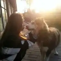 带猫狗的男生头像