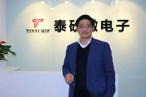 超高集成,泰矽微tcas系列芯片正式量产