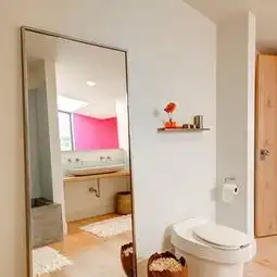 无水箱马桶效果图片