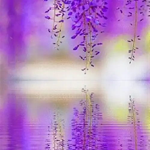 2023治愈唯美风景头像