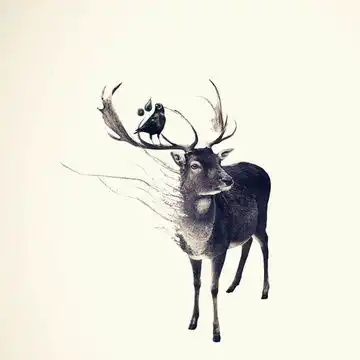 全站相册标签鹿