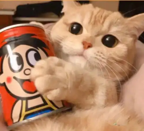 情侣头像韩系不明显但是