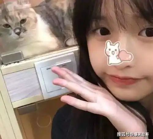 搞笑gif段子怎样办,我要不要也用一样的方式回应下她呢在线等