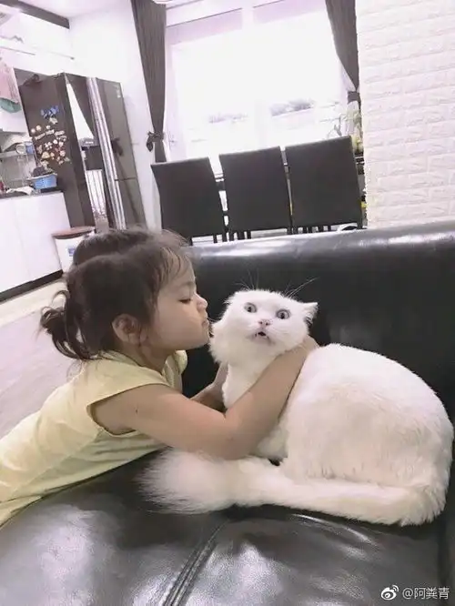 理发店充值送女友小伙充了7万还单身