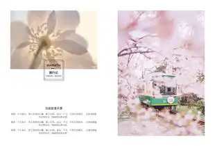 使用免费画册排版软件,免费下载这些漂亮的画册模板