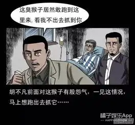 来自一只猴子的复仇