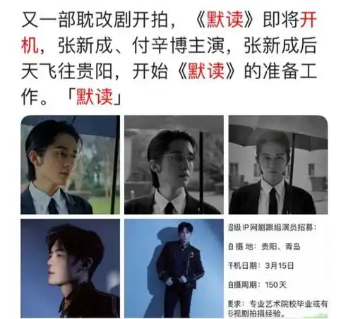 默读被影视化,双男主选角已定,有些不尽人意