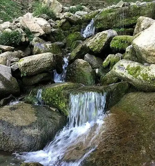重庆这个露营地首次公布有山有水有树林,趁人少赶紧约