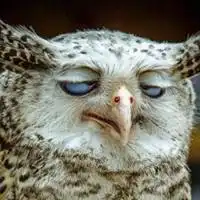 微笑向阳治愈系头像动漫治愈系微笑头像