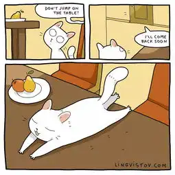 十八张漫画告诉你,和猫一起生活到底是什么样子