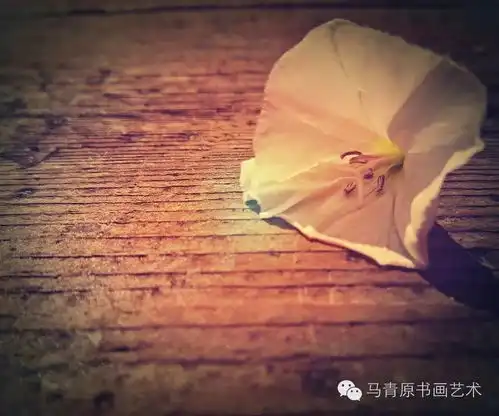 有品位有涵养的头像
