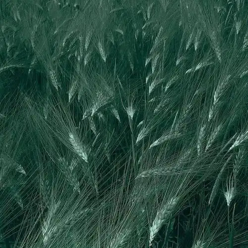 爱之初,是你本身的样子