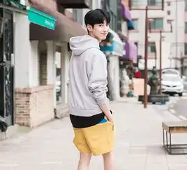 风靡亚洲的韩系花美男获得欧美女性很娘的负面评价