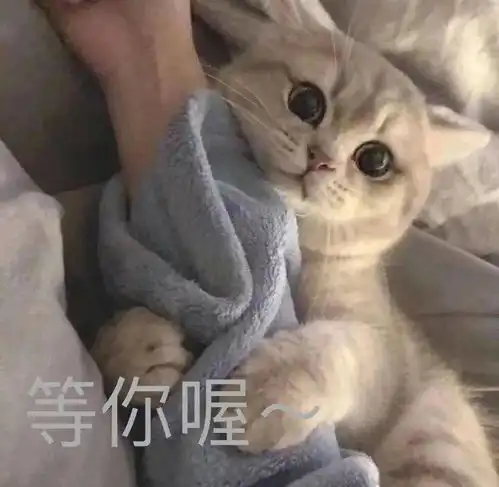 社管纳新期待与你最好的相遇