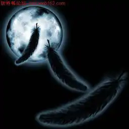 一片黑色翅膀一片白色翅膀的图片有的快m十天之内无人回答
