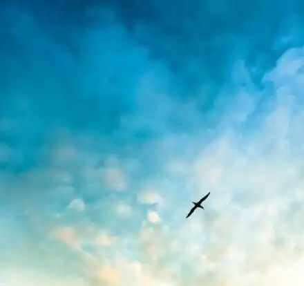 头像蓝色系天空背影空灵