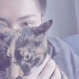 爱情里甜蜜美好的情侣的样子头像