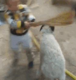 搞笑gif动态图瞎说什么大实话