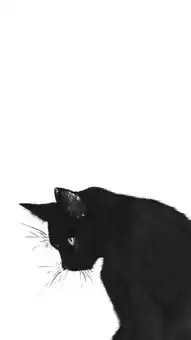 情侣壁纸,你要不要去一趟我的心